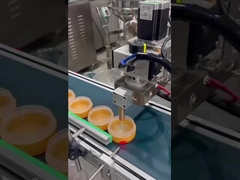 Mesin pengisi basis make-up otomatis SUS304 Gear Pump Heatable